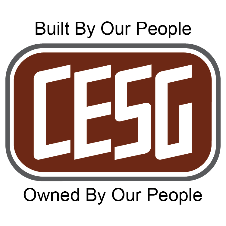 CESG — Critical Electric Systems Group, home